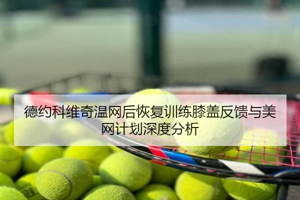 德约科维奇温网后恢复训练膝盖反馈与美网计划深度分析